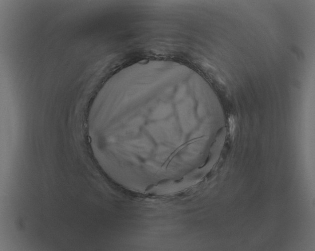 X0000116491009200912292101