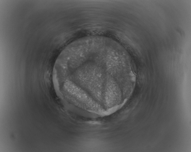 X0000116491010200912292101