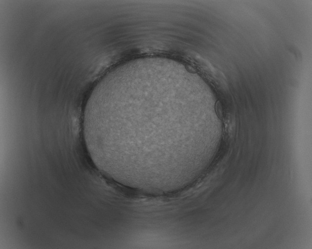 X0000116491012200912292101