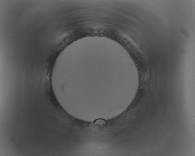 X0000116491013200912292101