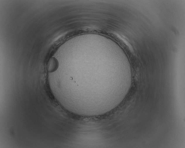 X0000116491015200912292101