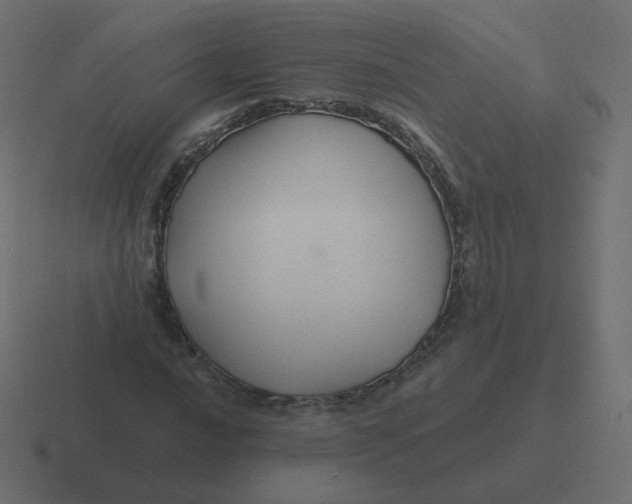 X0000116491016200912292101