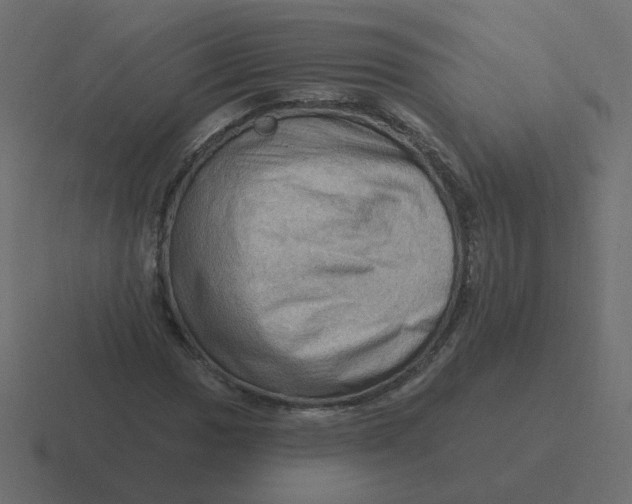 X0000116491017200912292101