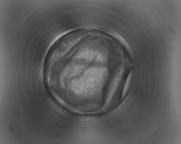 X0000116491020200912292101