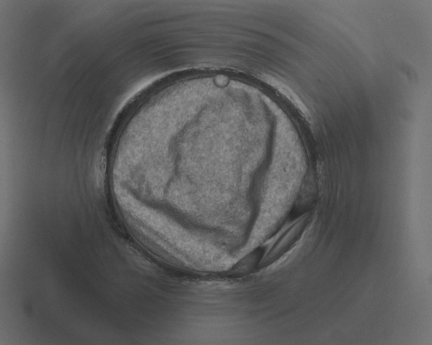 X0000116491021200912292101