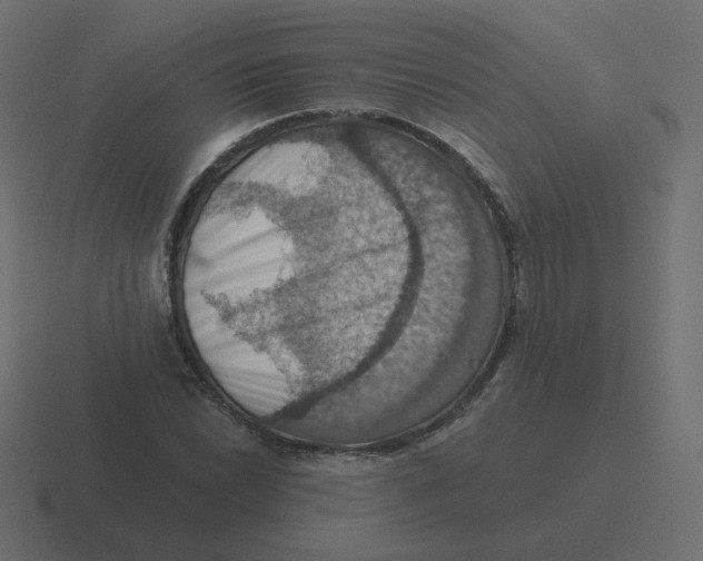 X0000116491022200912292101