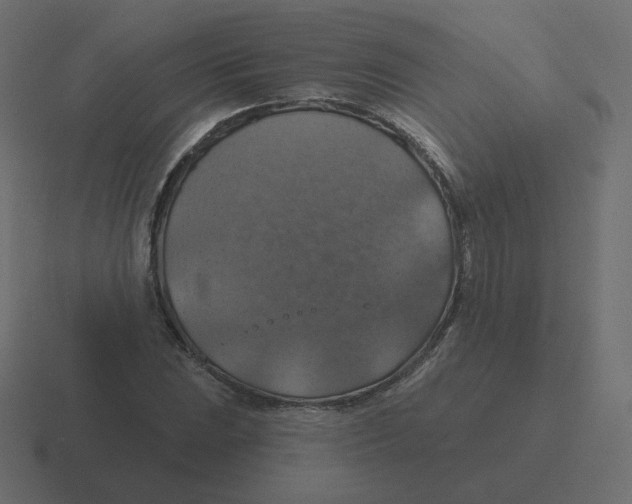 X0000116491023200912292101