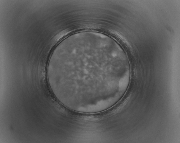 X0000116491025200912292101