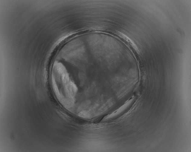 X0000116491027200912292101