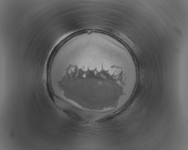 X0000116491028200912292101