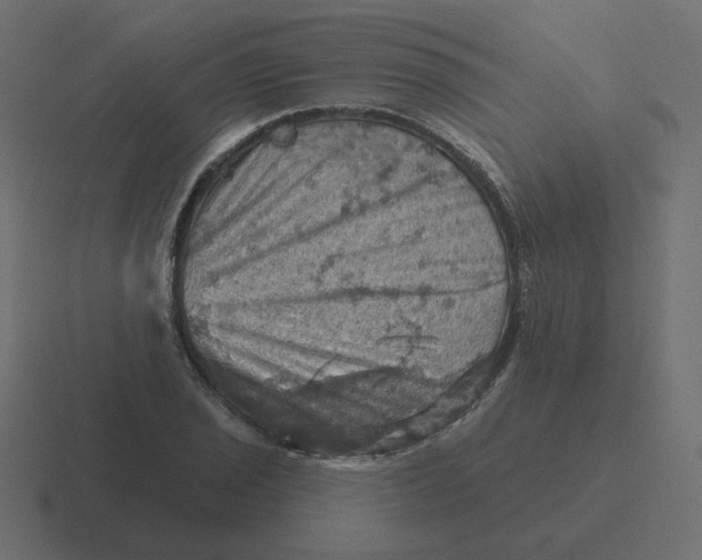 X0000116491029200912292101