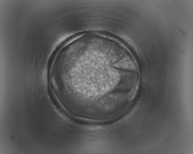 X0000116491030200912292101