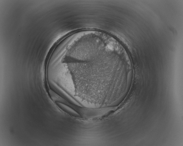 X0000116491032200912292101