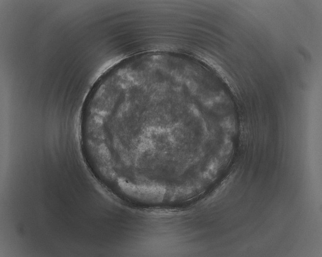 X0000116491034200912292101