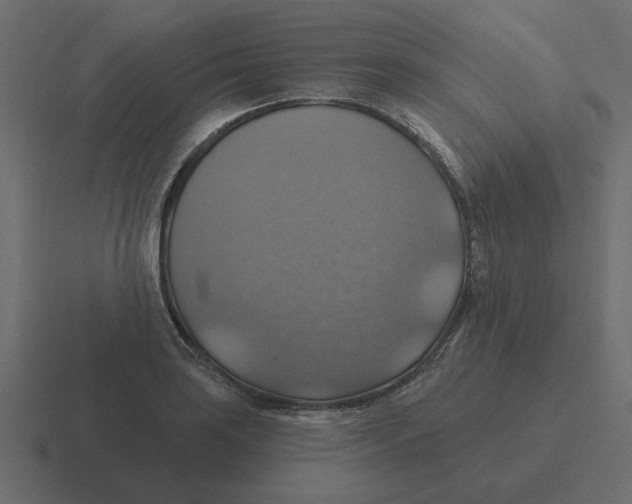 X0000116491035200912292101