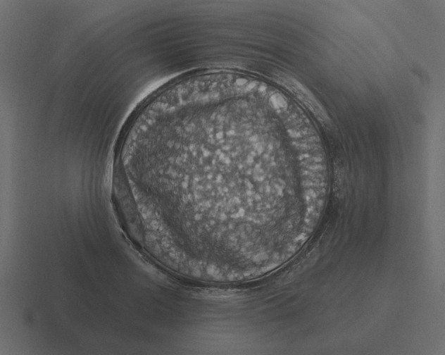 X0000116491036200912292101