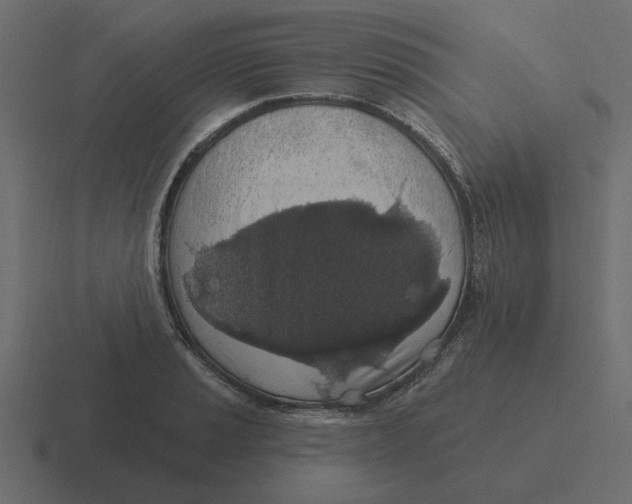 X0000116491037200912292101