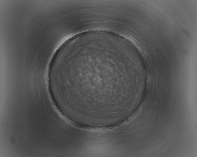 X0000116491038200912292101