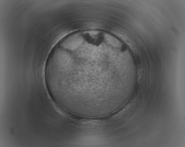 X0000116491039200912292101