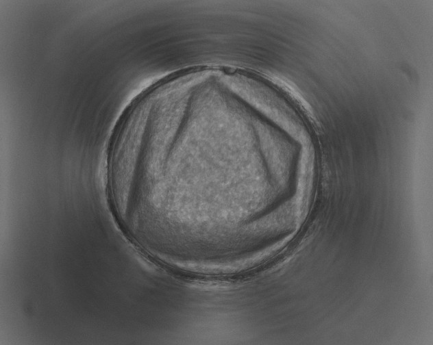 X0000116491040200912292101