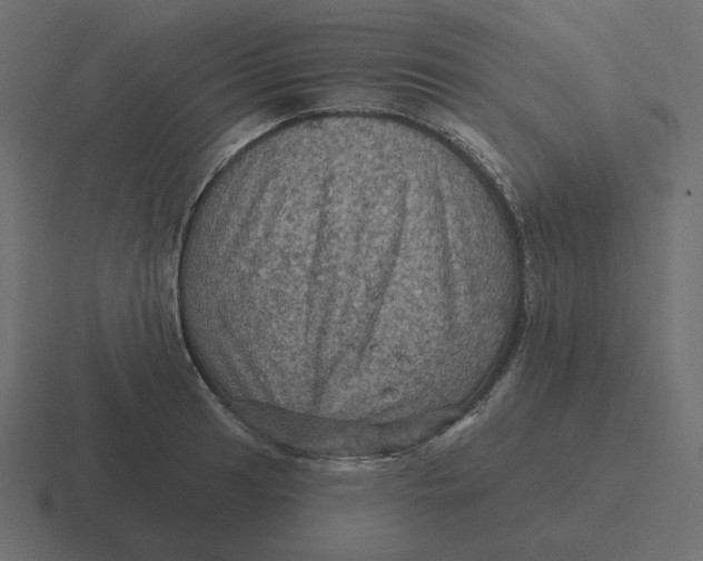 X0000116491041200912292101