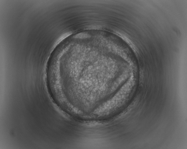 X0000116491042200912292101