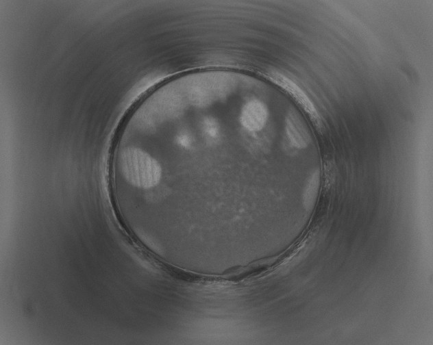 X0000116491043200912292101