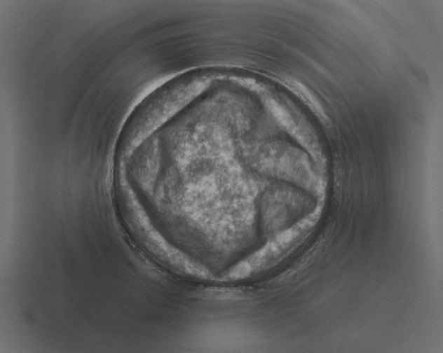 X0000116491044200912292101