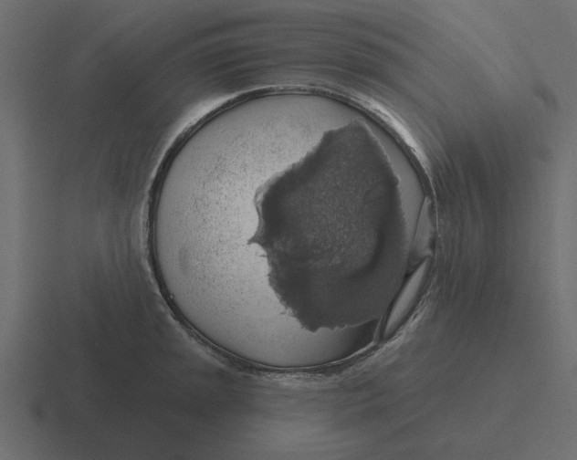 X0000116491045200912292101