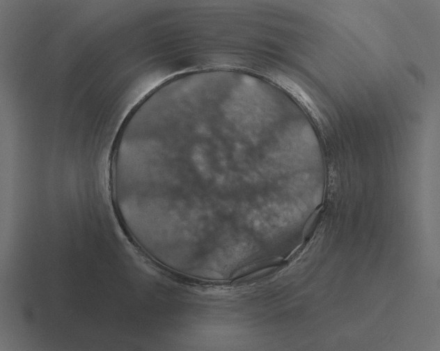 X0000116491047200912292101