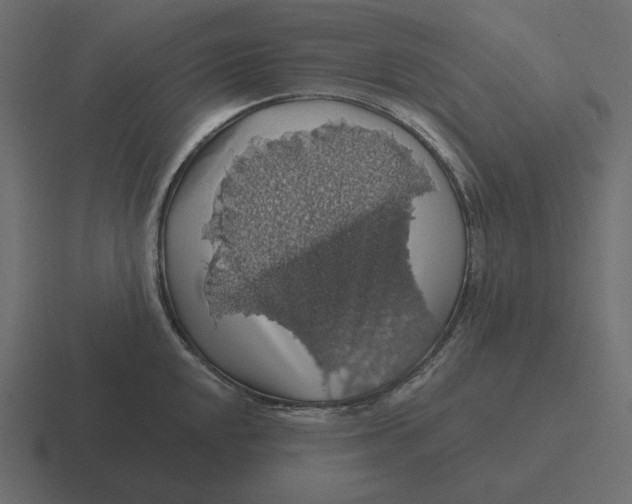 X0000116491048200912292102