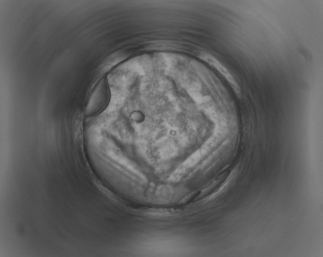 X0000116491049200912292102