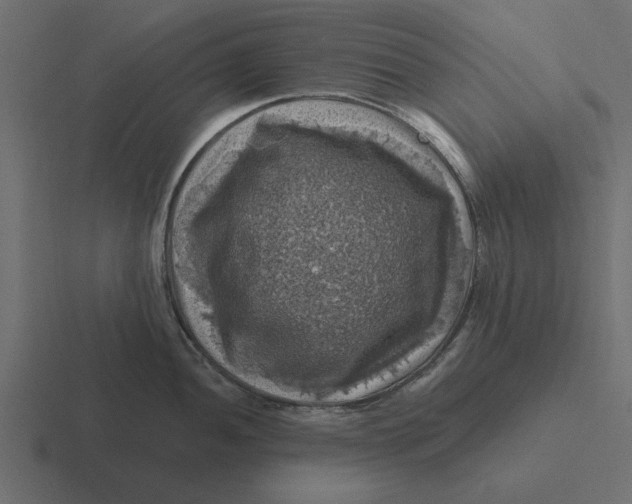 X0000116491052200912292102