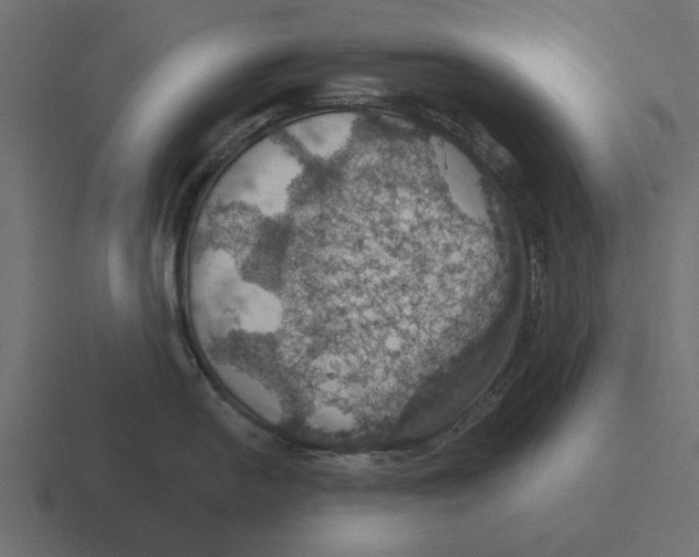 X0000116491054200912292102