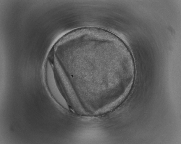 X0000116491056200912292102