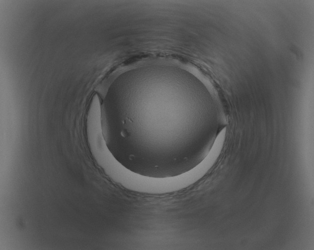 X0000116491057200912292101