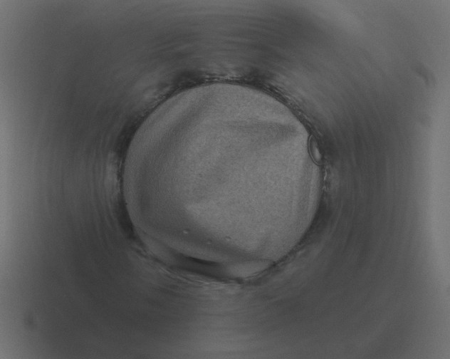 X0000116491058200912292101