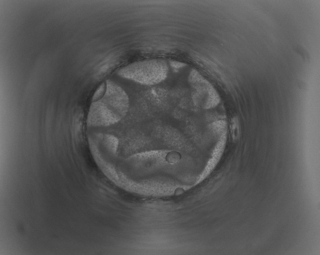 X0000116491059200912292101