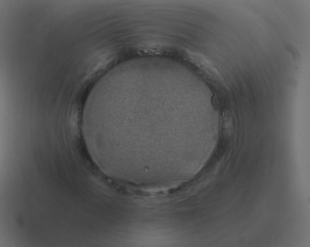 X0000116491060200912292101