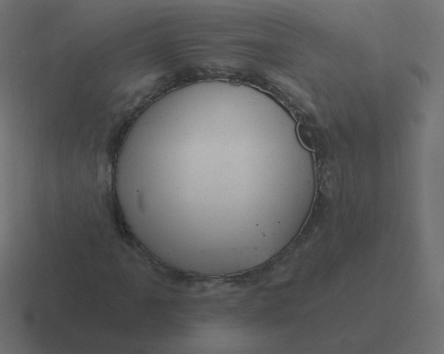 X0000116491061200912292101