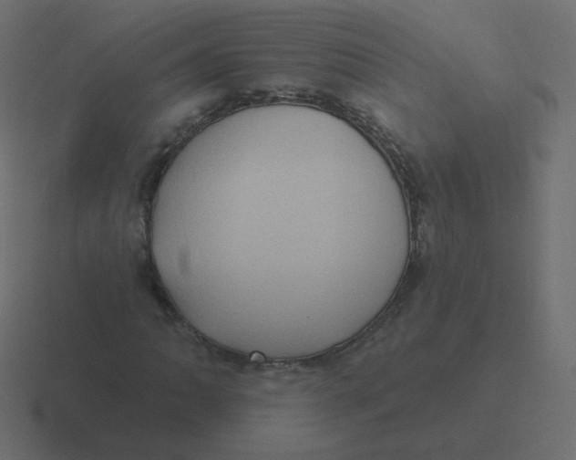 X0000116491062200912292101