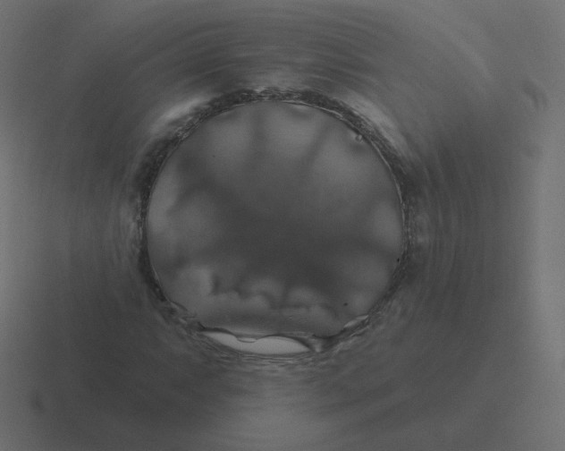 X0000116491063200912292101