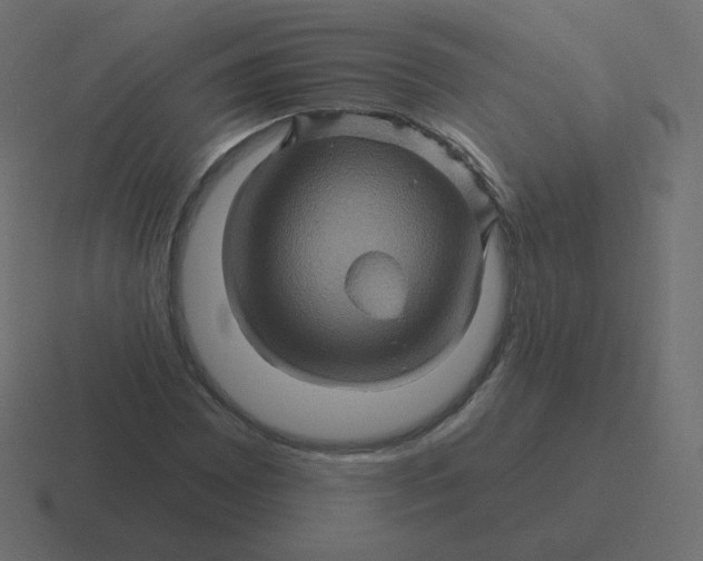 X0000116491065200912292101