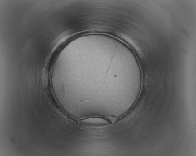 X0000116491067200912292101