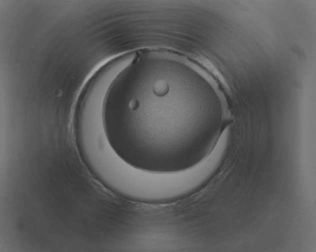 X0000116491068200912292101