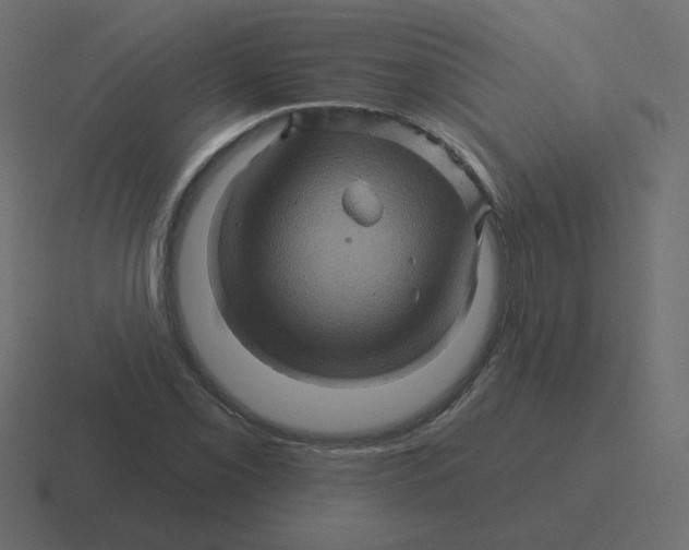 X0000116491069200912292101