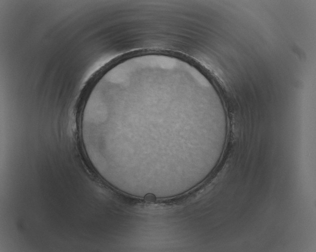 X0000116491070200912292101