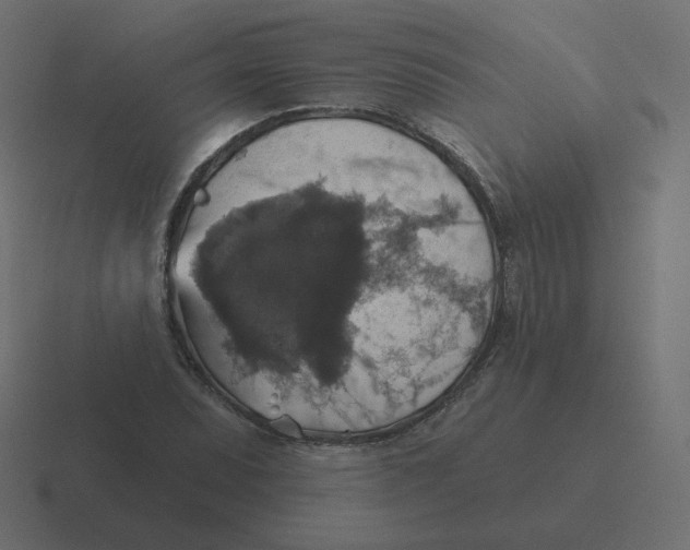 X0000116491071200912292101