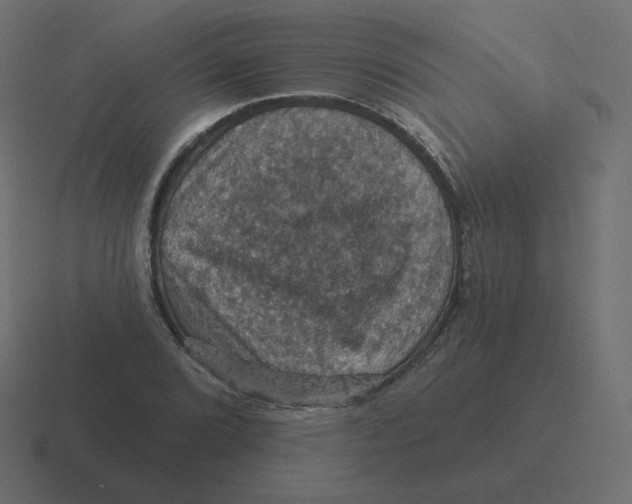 X0000116491072200912292101