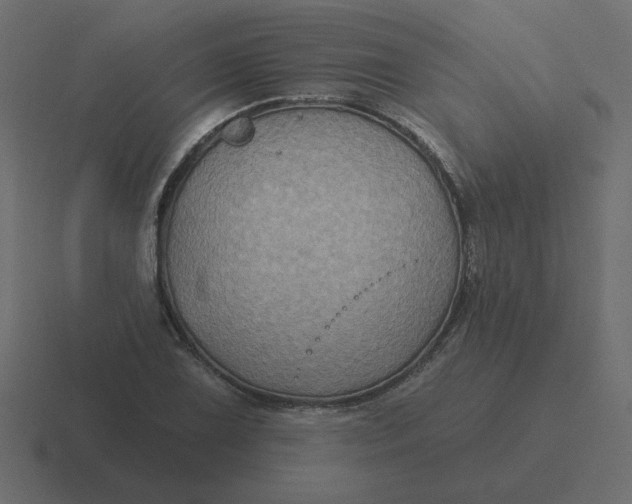 X0000116491075200912292101